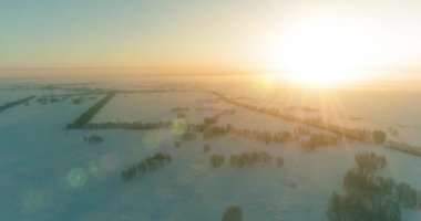 Arktik çayırlı soğuk kış manzarası, karla kaplı ağaçlar ve ufukta sabah güneşleri..