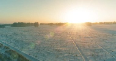 Arktik çayırlı soğuk kış manzarası, karla kaplı ağaçlar ve ufukta sabah güneşleri..
