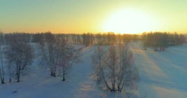 Arktik çayırlı soğuk kış manzarası, karla kaplı ağaçlar ve ufukta sabah güneşleri..