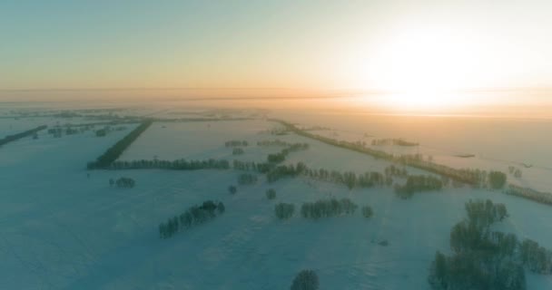 北極のフィールドと寒い冬の風景の空中ドローンビュー、水平線上に霜雪と朝の太陽光線で覆われた木. — ストック動画