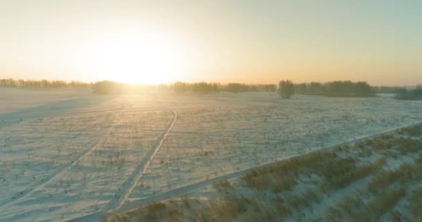 Vista aérea de drones del frío paisaje invernal con campo ártico, árboles cubiertos de nieve helada y rayos de sol matutinos sobre el horizonte. — Vídeo de stock