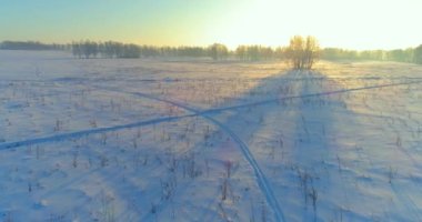 Arktik çayırlı soğuk kış manzarası, karla kaplı ağaçlar ve ufukta sabah güneşleri..