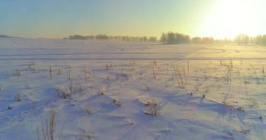 Arktik çayırlı soğuk kış manzarası, karla kaplı ağaçlar ve ufukta sabah güneşleri..