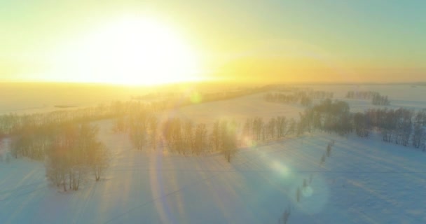 Veduta aerea drone del freddo paesaggio invernale con campo artico, alberi coperti di neve gelo e raggi del sole del mattino all'orizzonte. — Video Stock