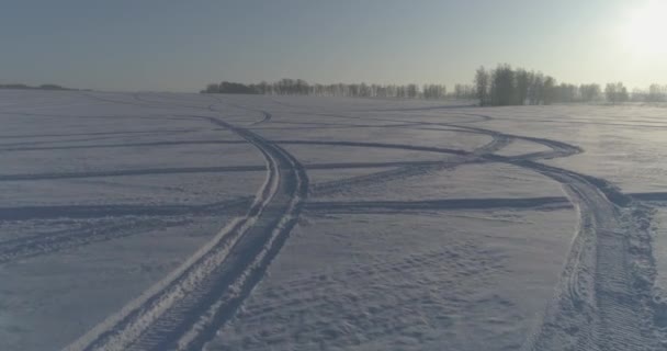 Vista aérea de drones del frío paisaje invernal con campo ártico, árboles cubiertos de nieve helada y rayos de sol matutinos sobre el horizonte. — Vídeos de Stock