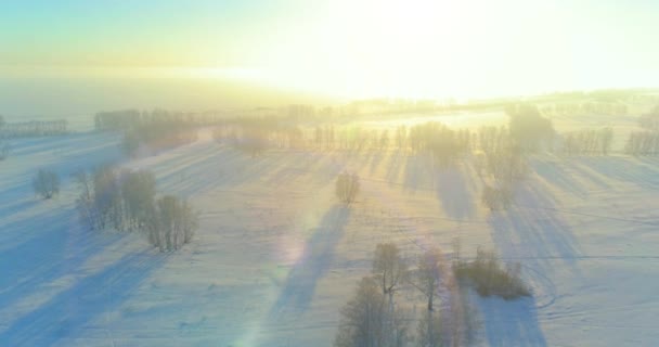 Luchtfoto drone uitzicht op koud winterlandschap met poolveld, bomen bedekt met vorst sneeuw en ochtendzon stralen over horizon. — Stockvideo