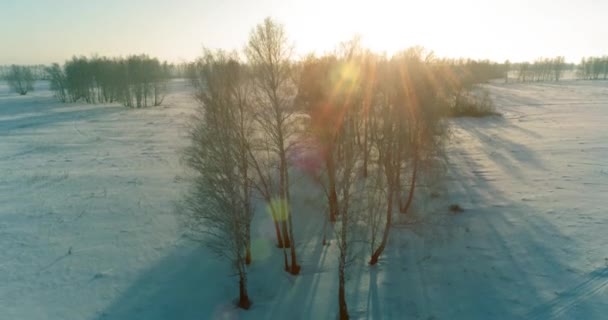 북극 지역의 추운 겨울 풍경을 공중에서 드론으로내려다본 광경, 서리로 뒤덮인 눈 과 아침 햇살 이지평 선 너머로 비치는 나무들. — 비디오