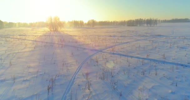 Vue aérienne par drone du paysage hivernal froid avec champ arctique, arbres couverts de neige verglaçante et rayons du soleil matinaux au-dessus de l'horizon. — Video