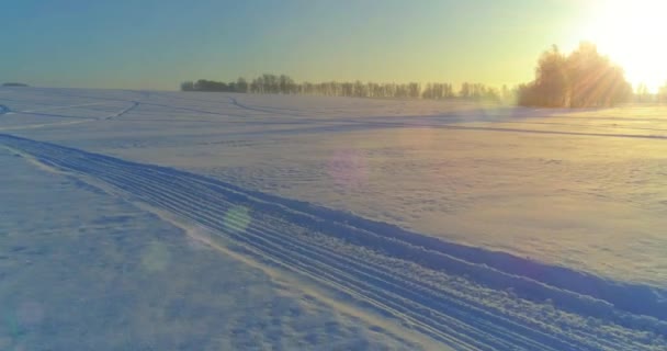 Vista aérea de drones del frío paisaje invernal con campo ártico, árboles cubiertos de nieve helada y rayos de sol matutinos sobre el horizonte. — Vídeos de Stock