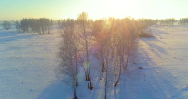 Veduta aerea drone del freddo paesaggio invernale con campo artico, alberi coperti di neve gelo e raggi del sole del mattino all'orizzonte. — Video Stock