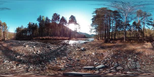 360野生の山、松林や川の流れのVR仮想現実。国立公園、牧草地、太陽光線. — ストック動画