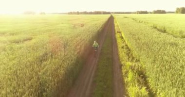 Kırsal yoldaki bir çim tarlasında bisiklet süren genç bir çocuğun hava manzarası. Güneş ışığı ve ışınlar.
