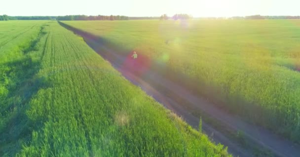 Veduta aerea sul ragazzo, che cavalca una bicicletta attraverso un campo di erba di grano sulla vecchia strada rurale. Luce solare e raggi. — Video Stock