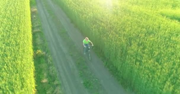 Luchtfoto op jonge jongen, die rijdt op een fiets door een graan grasveld op de oude landelijke weg. Zonlicht en stralen. — Stockvideo