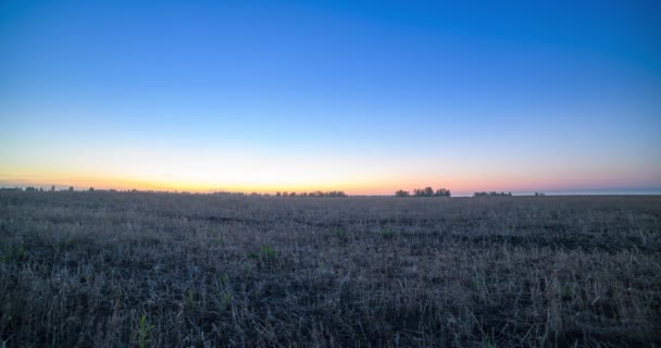 Timelapse del prado de la colina plana en la hora del amanecer del verano. Naturaleza salvaje y campo de hierba rural. Rayos solares y árboles verdes. Deslizador de dolly motorizado y panorama — Vídeos de Stock