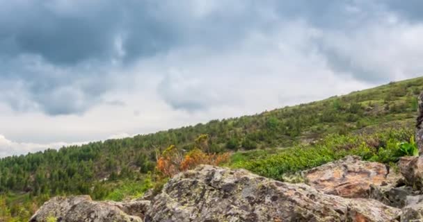 Mountain lake time-lapse på sommaren eller hösten tid. Vild natur och landsbygd. Molnrörelser, grönt gräs och dramatisk himmel. Motordriven dockslider — Stockvideo
