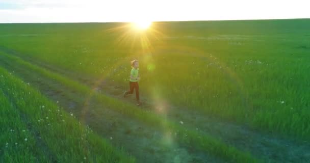 スポーツの子は緑の小麦畑を通って実行されます。田舎の牧草地で夜のスポーツトレーニング演習。幸せな子供時代は健康的な生き方です。放射状の動き、太陽光線と草. — ストック動画