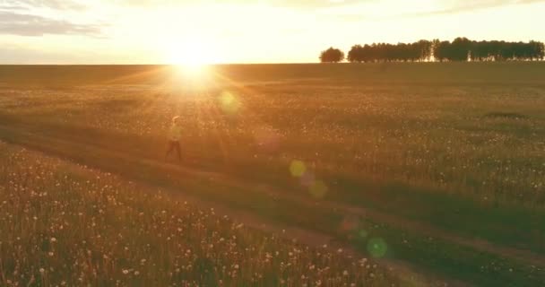 Sportigt barn springer genom ett grönt vetefält. Kvällsträning på landsbygden. En lycklig barndom är ett hälsosamt sätt att leva. Radiella rörelser, solstrålar och gräs. — Stockvideo