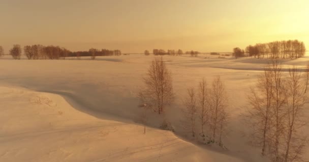 Luchtfoto van het koude arctische veld landschap, bomen met vorst sneeuw, ijsrivier en zonnestralen over de horizon. Extreem lage temperatuur weer. — Stockvideo