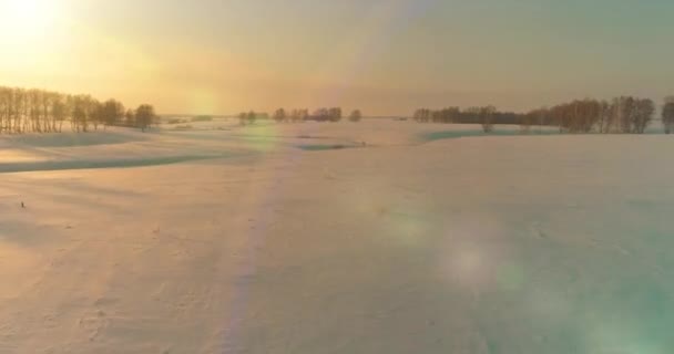 Вид с воздуха на холодный арктический полевой пейзаж, деревья с морозным снегом, ледяную реку и солнечные лучи над горизонтом. Экстремально низкая температура. — стоковое видео