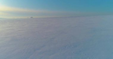 Soğuk kış manzarası kutup bölgesi, karla kaplı ağaçlar, ufukta buz nehri ve güneş ışınları. Aşırı düşük sıcaklık havası.