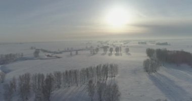 Soğuk kış manzarası kutup bölgesi, karla kaplı ağaçlar, ufukta buz nehri ve güneş ışınları. Aşırı düşük sıcaklık havası.