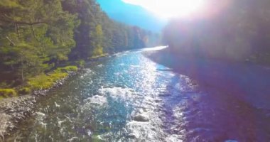 Güneşli yaz sabahında kayalarla birlikte taze, hızlı dağ nehri üzerinde alçak irtifa uçuşu..