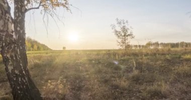 Yazın ya da sonbaharda çayır zamanlaması. Kırsal alan cadısı güneş ışınları, ağaçlar ve yeşil çimenler. Gün batımında motorlu doli kaydırıcı