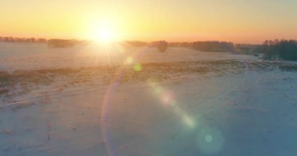 Aerial drone view of cold winter landscape with arctic field, trees covered with frost snow and morning sun rays over horizon. — Stock Video