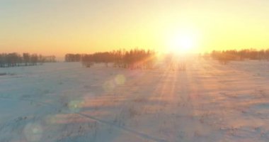 Arktik çayırlı soğuk kış manzarası, karla kaplı ağaçlar ve ufukta sabah güneşleri..