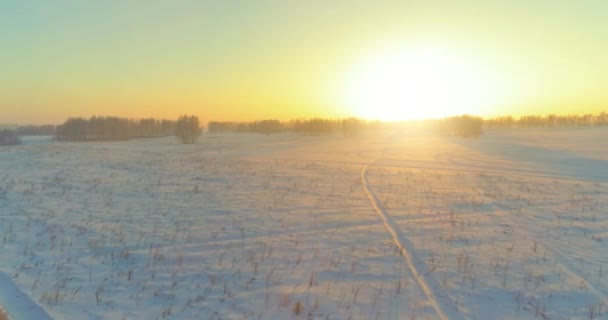 Luchtfoto drone uitzicht op koud winterlandschap met poolveld, bomen bedekt met vorst sneeuw en ochtendzon stralen over horizon. — Stockvideo