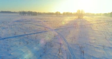 Arktik çayırlı soğuk kış manzarası, karla kaplı ağaçlar ve ufukta sabah güneşleri..
