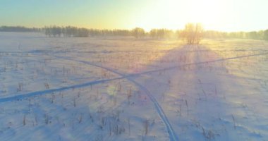 Arktik çayırlı soğuk kış manzarası, karla kaplı ağaçlar ve ufukta sabah güneşleri..