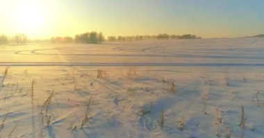 Arktik çayırlı soğuk kış manzarası, karla kaplı ağaçlar ve ufukta sabah güneşleri..