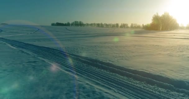 Widok z lotu ptaka na zimny zimowy krajobraz z polem arktycznym, drzewa pokryte mrozem śniegu i poranne promienie słońca nad horyzontem. — Wideo stockowe