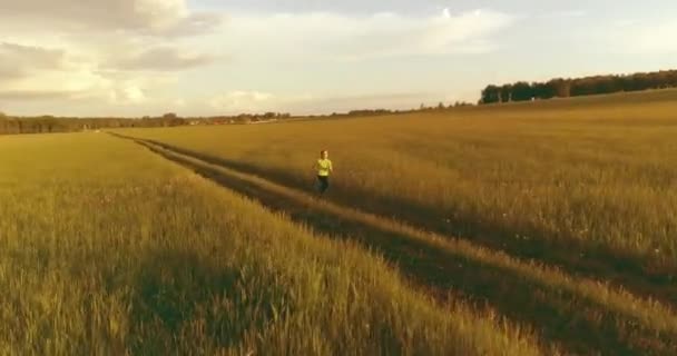 Niño deportivo corre a través de un campo de trigo verde. Ejercicios nocturnos de entrenamiento deportivo en prados rurales. Una infancia feliz es una forma de vida saludable. Movimiento radial, rayos solares y hierba. — Vídeo de stock