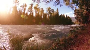 Dağ nehri kıyısındaki çayır. Yeşil çimlerle, çam ağaçlarıyla ve güneş ışınlarıyla kaplı bir manzara. Motorlu kaydırma kulesinde hareket.
