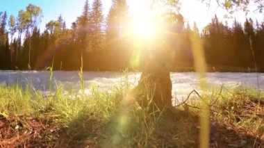 Dağ nehri kıyısındaki çayır. Yeşil çimlerle, çam ağaçlarıyla ve güneş ışınlarıyla kaplı bir manzara. Motorlu kaydırma kulesinde hareket.