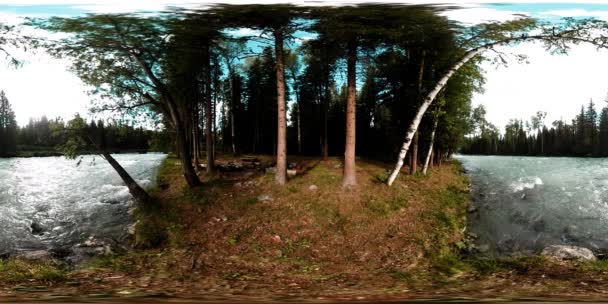 360 VR virtuális valóság egy vadon élő erdőben. Fenyőerdő, kicsi, gyors, hideg hegyi folyó. Nemzeti park. — Stock videók