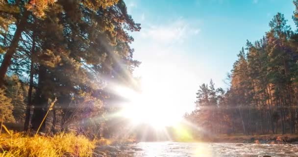 4K UHD rivière de montagne timelapse à l'heure d'été ou d'automne. Nature sauvage, eau claire et vallée rurale à feuilles persistantes. Rayons solaires, petit ruisseau et herbe jaune. Mouvement de glissière de poupée motorisée — Video