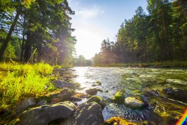 4K UHD mountain river timelapse at the summer or autumn time. Wild nature, clear water and rural evergreen valley. Sun rays, small creek and yellow grass. Motorised dolly slider movement — Stock Video