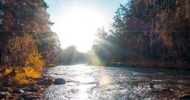 夏または秋の時間に4K山の川のタイムラプス。野生の自然、澄んだ水と農村常緑谷。太陽光線、小さな小川と黄色の草。電動ドリルスライダーの動き — ストック動画