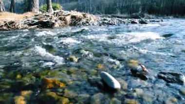 Dolly ormanın yakınındaki bir dağ nehrinde akan suyun kaygan görüntüsü. Islak kayalar ve güneş ışınları. Yatay sabit hareket.