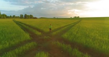 Sportif çocuk yeşil buğday tarlasında koşuyor. Kırsal çayırlarda akşam sporu alıştırmaları. Mutlu bir çocukluk sağlıklı bir yaşam biçimidir. Radikal hareket, güneş ışınları ve ot.