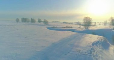 Soğuk kış manzarası kutup bölgesi, karla kaplı ağaçlar, ufukta buz nehri ve güneş ışınları. Aşırı düşük sıcaklık havası.