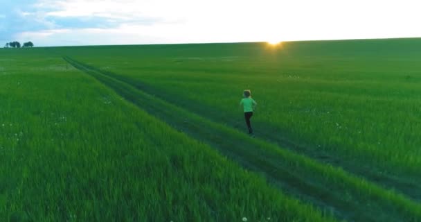 Sportigt barn springer genom ett grönt vetefält. Kvällsträning på landsbygden. En lycklig barndom är ett hälsosamt sätt att leva. Radiella rörelser, solstrålar och gräs. — Stockvideo