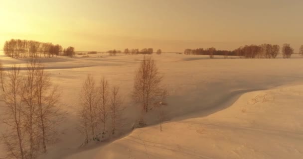 Widok z powietrza zimnego arktycznego krajobrazu pola, drzew z mrozem śniegu, rzeki lodu i promieni słonecznych na horyzoncie. Ekstremalnie niska temperatura. — Wideo stockowe