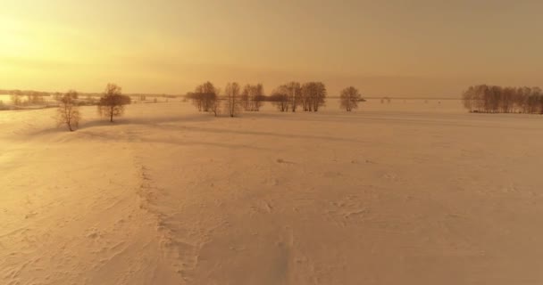 Luchtfoto van het koude arctische veld landschap, bomen met vorst sneeuw, ijsrivier en zonnestralen over de horizon. Extreem lage temperatuur weer. — Stockvideo