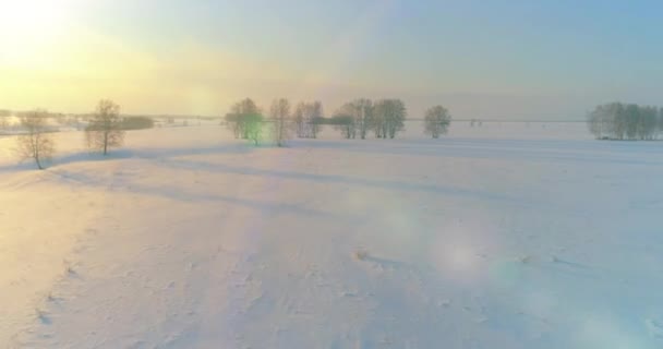 Vista aérea da paisagem fria do campo ártico, árvores com neve de geada, rio de gelo e raios de sol ao longo do horizonte. Tempo extremo de baixa temperatura. — Vídeo de Stock