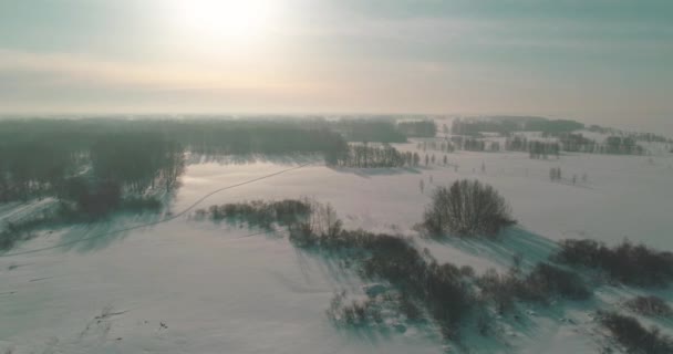 空中俯瞰寒冷的冬季风景，北极田野，覆盖着霜雪、冰河和地平线上的太阳光的树木。极端低温天气. — 图库视频影像